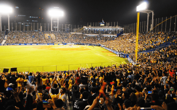 スポーツ応援タオル カテゴリイメージ